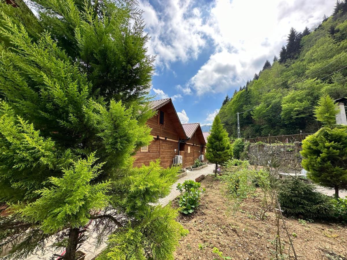 Tuva Villa Bungalov Çamlıhemşin Kültér fotó